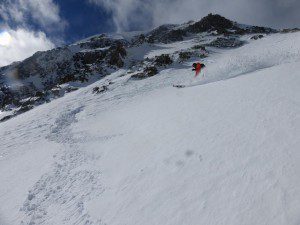 Cresta Cardigassos Sidarta (13)