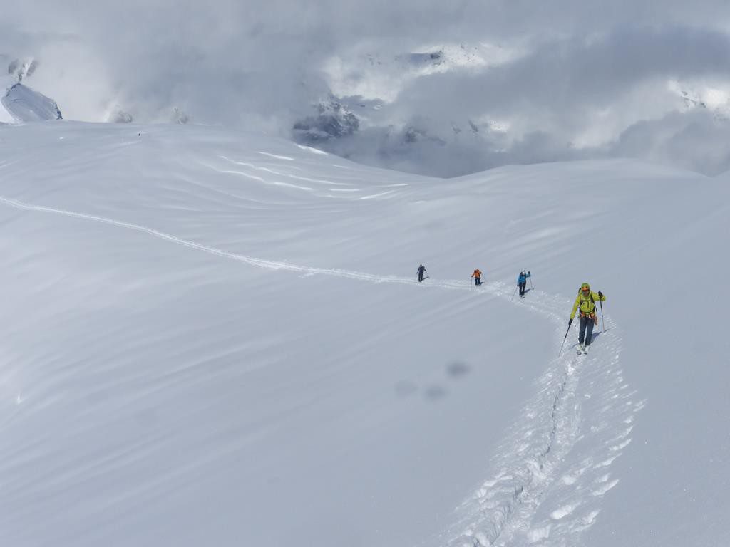 alta ruta oberland