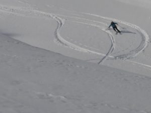 p1100024